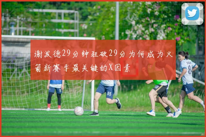谢泼德29分钟狂砍29分为何成为火箭新赛季最关键的X因素