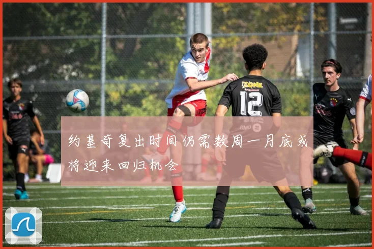 约基奇复出时间仍需数周一月底或将迎来回归机会